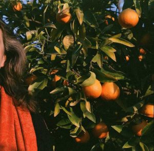 woman by citrus tree